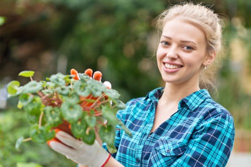 Garden clearance and tidy-up services in St Mary Cray for overgrown plots