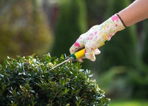 Gardener beginning a safe outdoor task with protective equipment
