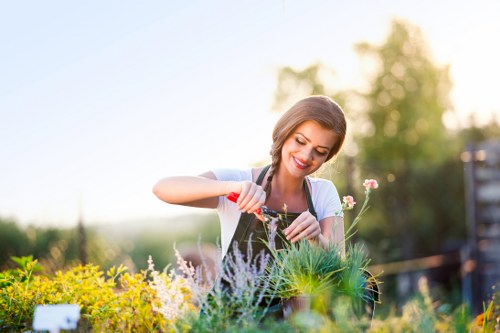 Garden hedge trimming to improve shape and curb appeal