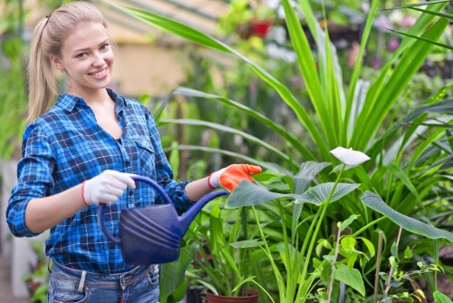 Local lawn mowing service trimming garden edges