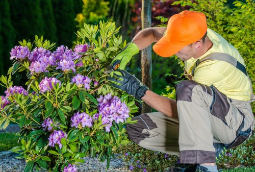 Seasonal gardening services in St Mary Cray for healthy outdoor spaces