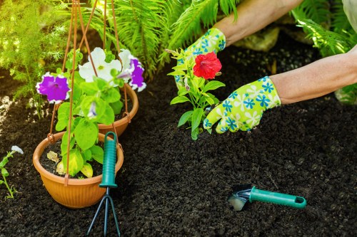 Gardeners St Mary Cray maintaining a well-kept local garden