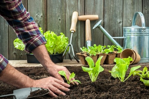 Transparent garden pricing information for St Mary Cray homeowners