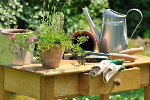 Professional gardeners in St Mary Cray working on seasonal garden care