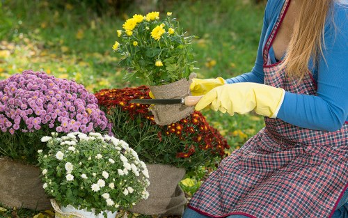 Clear and flexible pricing for gardeners in St Mary Cray