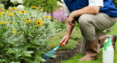 Professional garden maintenance in St Mary Cray with safe working practices
