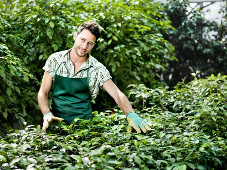 Seasonal lawn maintenance in a suburban St Mary Cray yard