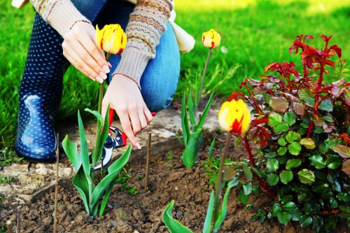 Waste disposal and property responsibility terms