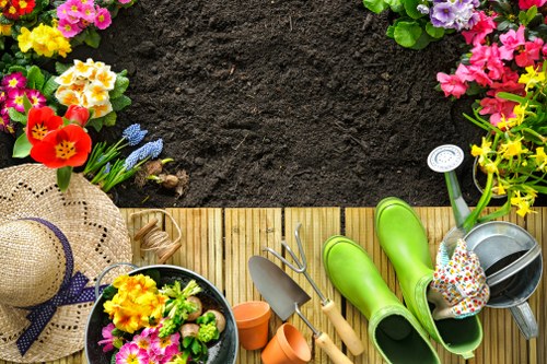 Seasonal lawn maintenance for St Mary Cray homes