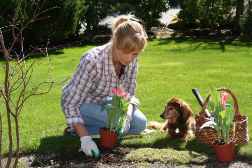 Reporting concerns and anti-slavery controls in garden work