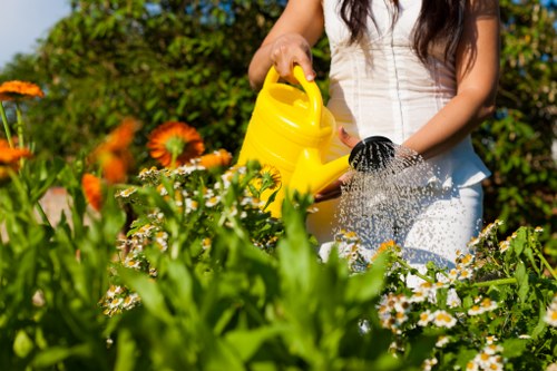 Local garden maintenance in St Mary Cray including hedge trimming and weeding