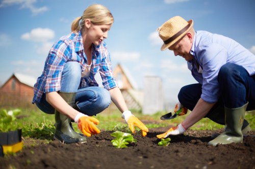 Load-based and cubic-yard quote options for garden clearance