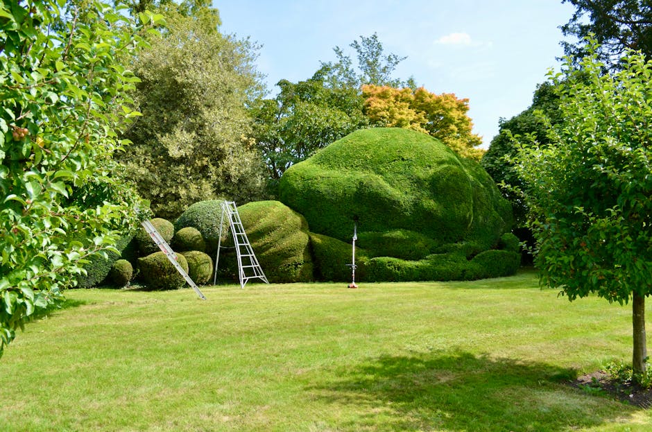 A well-maintained garden lawn with evenly cut, lush green grass featuring visible mower stripes, bordered by a tall, neatly trimmed hedge on the left side. Alongside the hedge, there are five large, w